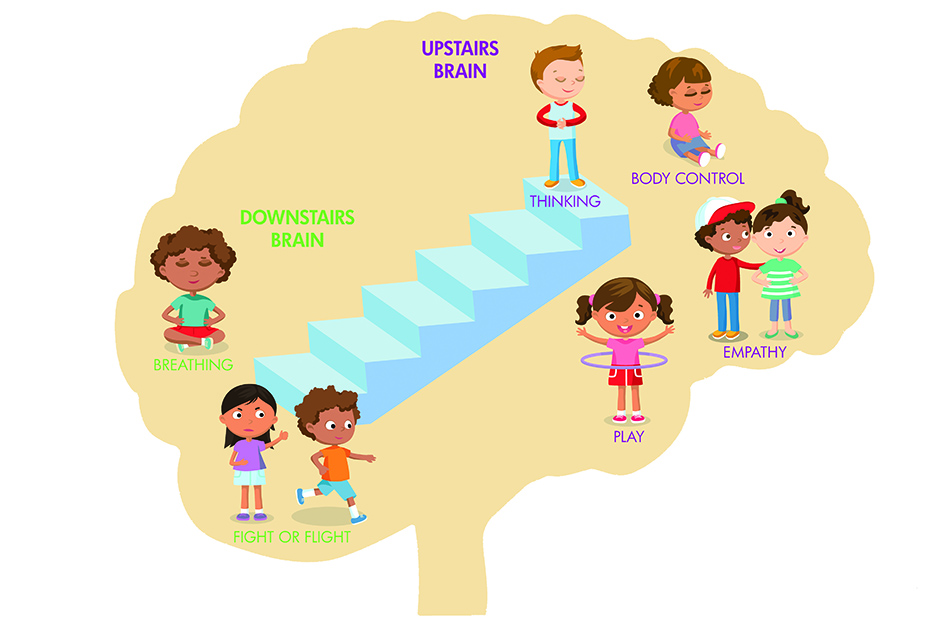 Nursery World - Neuroscience: Understand the 'upstairs' and 'downstairs ...